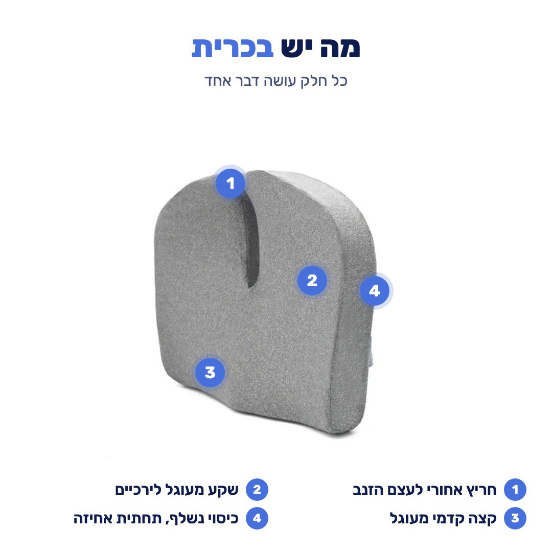 מה יש בכרית: חריץ אחורי, שקע לירכיים, קצה קדמי מעוגל, כיסוי נשלף ותחתית אחיזה